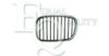 EQUAL QUALITY G0288 Radiator Grille